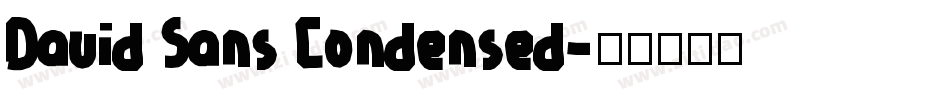 David Sans Condensed字体转换